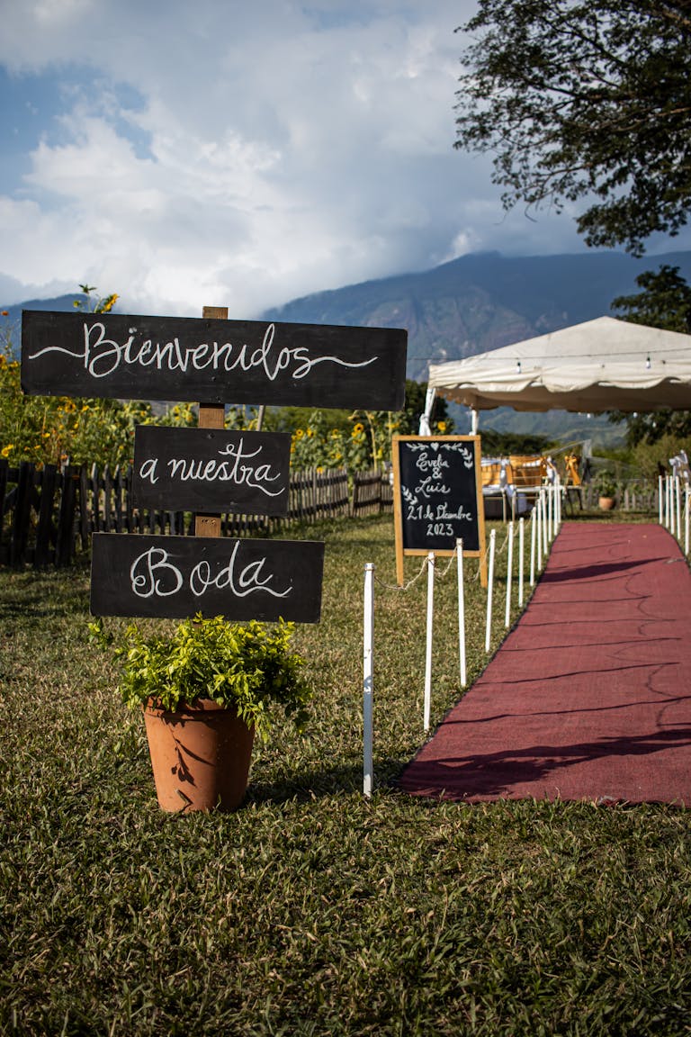 Boda al aire libre con alfombra roja.